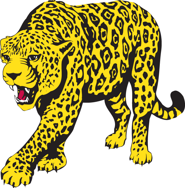 South Alabama Jaguars 1993-2007 Partial Logo iron on transfers for fabric